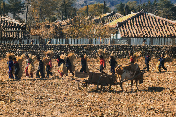 north-korea-dprk-farmers-children-working-field-vanheijst.jpg 
