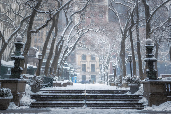 1-New-york-winter-snow-park-vanheijst.jpg 